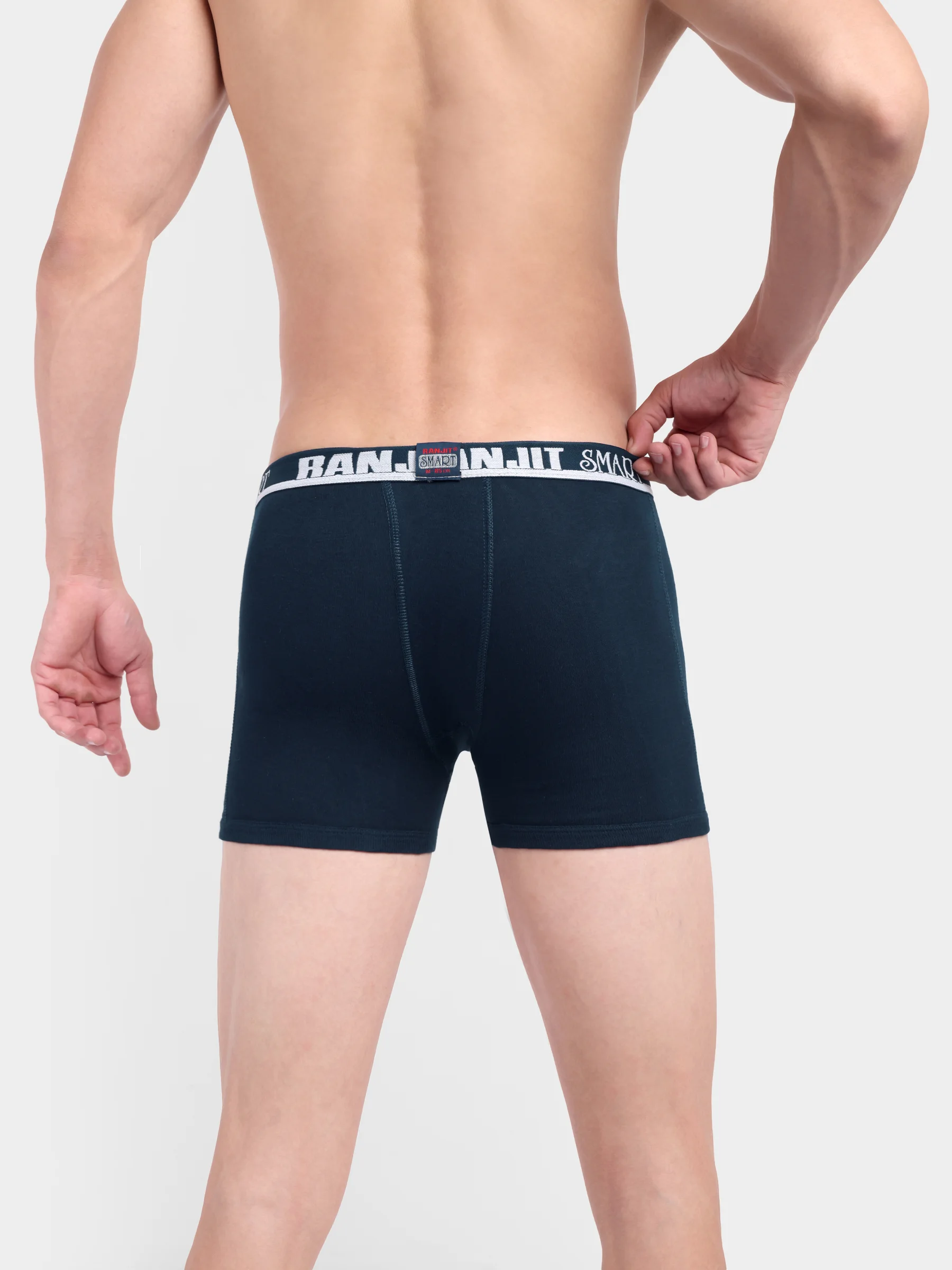 RANJIT Smart ICD Interlock Trunk - Image 4